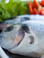 pescados del mar
